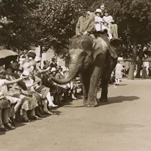Elephant ride, Zoological Gardens, Regents Park, London