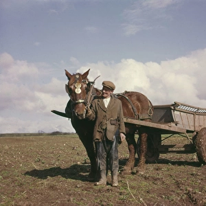 Farmer with horse and cart in a field