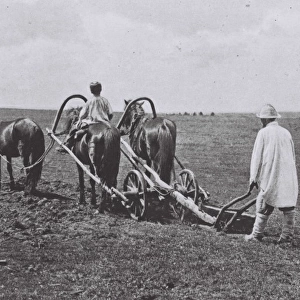 Farmer ploughing