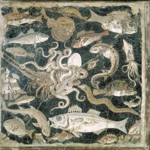 Fish Mosaic from Pompeii