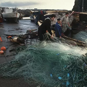 Fishermen pull nets ashore onto quayside, Donegal, Ireland