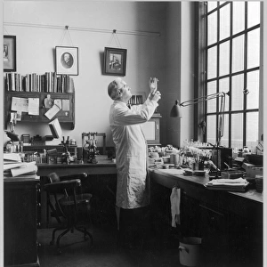 Fleming in his Lab / Photo