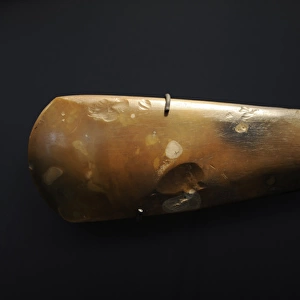 Flint axe of stone from Denmark