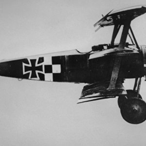 Fokker DrI (side view, on the ground, tail-up)