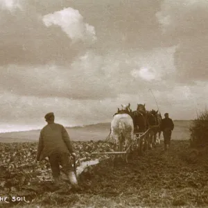 Four-horse Ploughing team at work - South Downs, East Sussex