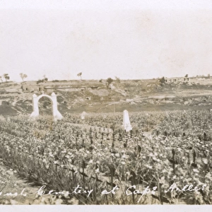 The French Cemetery at Cape Helles, Dardanelles