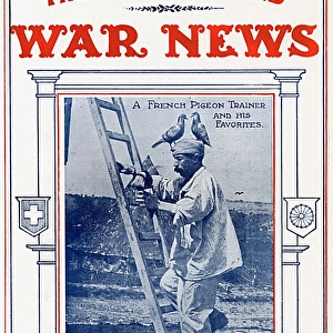 French Pigeon Trainer, Illustrated War News, WW1