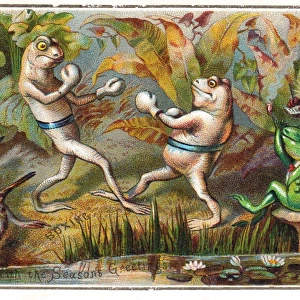 Frogs boxing on a Christmas card