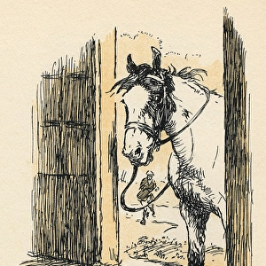 Frontispiece illustration, the Joker, an Exmoor pony