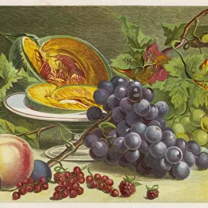 Fruit / Melon, Grapes Etc