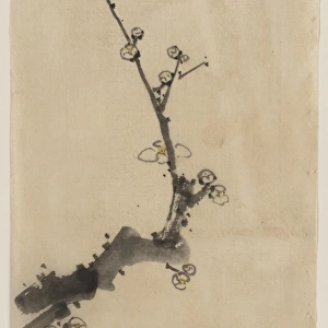 Fruit tree branch with blossoms