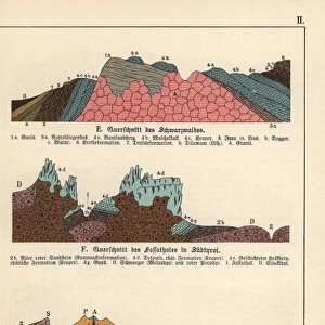 Geological cross-sections of Black Forest