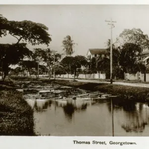 South America Metal Print Collection: Guyana