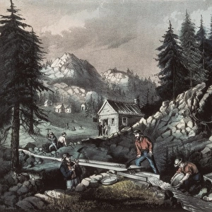 Gold Mining in California. Scenes of the 1849 Californian