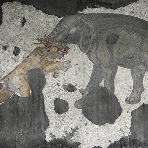 Great Palace Mosaic Museum. Byzantine style. Elephant and li