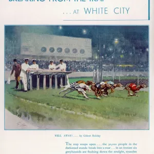 Greyhound Racing at White City Print Greyhound Racing at White City Print