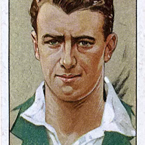 H H Gibbons, Worcestershire County cricketer