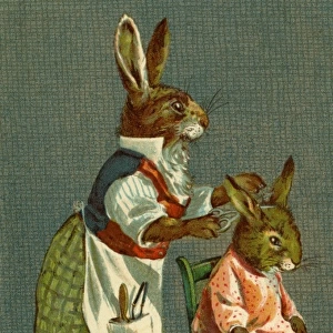 Haircut for Young Rabbit by g h Thompson