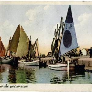 Harbour with fishing boats, Pesaro, Italy