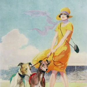 The Ultimate Collection of Sporting Images: Greyhound Racing