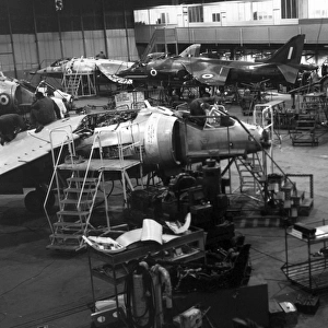 Hawker Siddeley Harrier production
