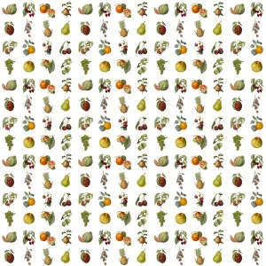 Modello Ripetuto - Frutta Variata Modello Ripetuto - Frutta Variata