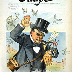 Hit him hard! President McKinley - Mosquitoes seem to be wor
