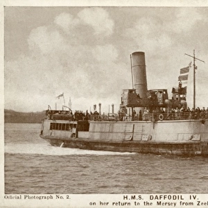 HMS Daffodil IV