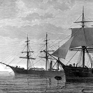 HMS Discovery and HMS Alert, 1875