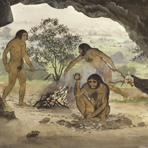 Homo erectus, Peking Man