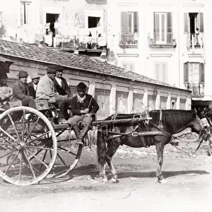 Horse and carriage, hackney, passenger vehicle, Italy
