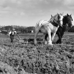 Horse Plough