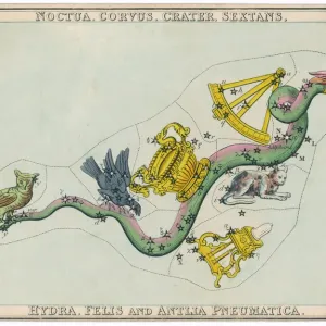 Hydra Constellation Print featuring an Owl, Raven and Sextant