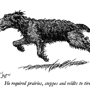 Illustration of a black dog by Cecil Aldin
