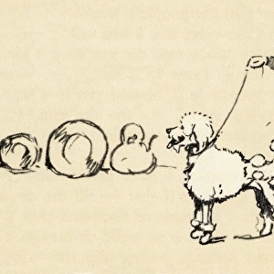 Illustration by Cecil Aldin, buying a white French poodle