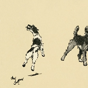 Illustration by Cecil Aldin, dogs eager for a walk