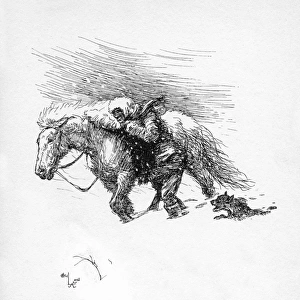 Illustration by Cecil Aldin, The Mongolian Tarpan