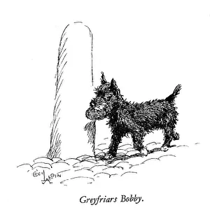 Illustration of Greyfriars Bobby by Cecil Aldin