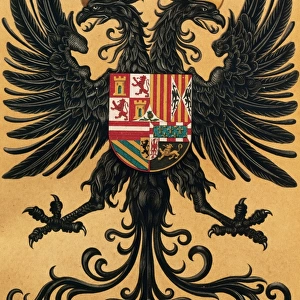 Imperial Banner of emperor Charles V