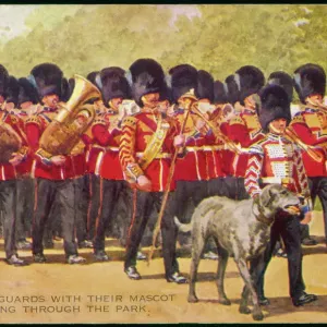 Irish Wolfhound
