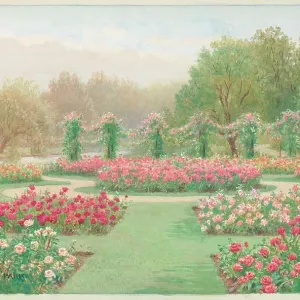 Regents Park Rose Garden Print by W. Carruthers Affleck Regents Park Rose Garden Print by W. Carruthers Affleck