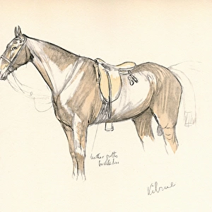 Kilrue, horse belonging to Lord Lonsdale