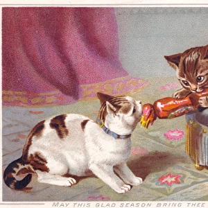 Two kittens pulling cracker on a Christmas card