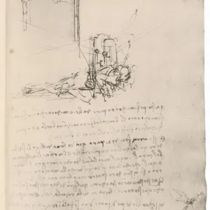 Leonardo Da Vinci's Flying Machine Print Leonardo Da Vinci's Flying Machine Print