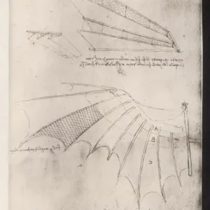Leonardo Da Vinci's Flying Machine Print Leonardo Da Vinci's Flying Machine Print