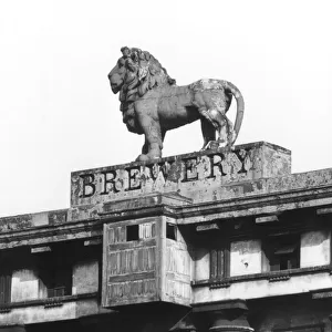 Lion Brewery Sign