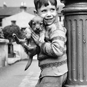 Little boy with puppy, Balham, SW London
