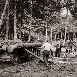 Loggers at work in France, Western Front, WW1