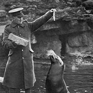 London zookeeper in uniform saying farewell to seal