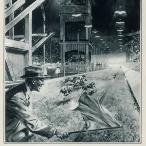 Londons First Greyhound Racing at White City Print Londons First Greyhound Racing at White City Print